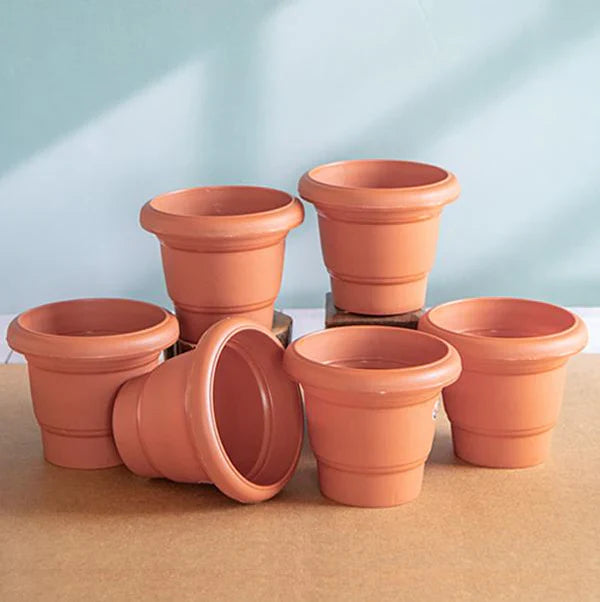 Plants Pots & Stoneware